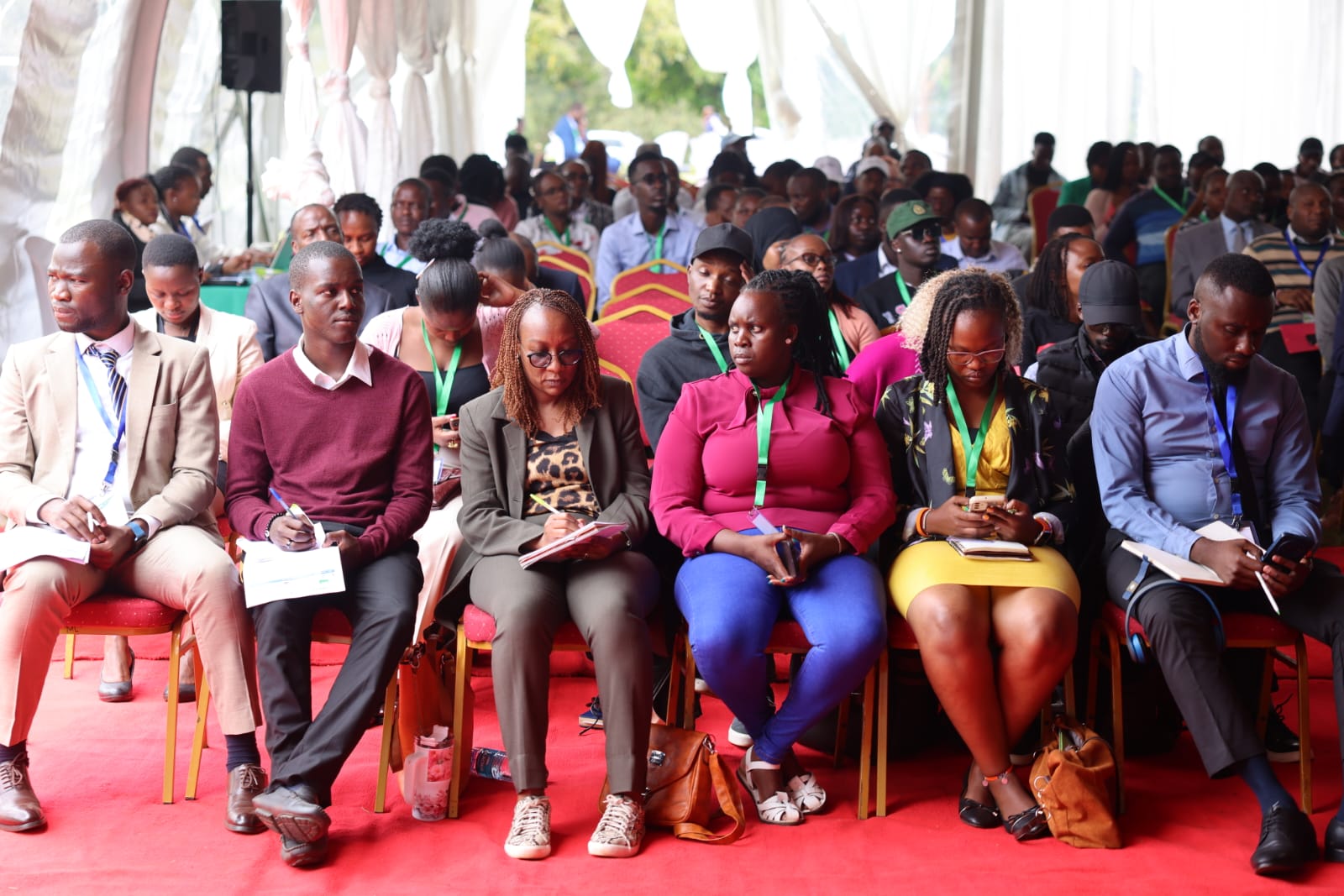 Capacity Building